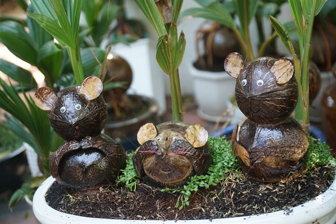 Chậu bonsai dừa hình chuột đắt khách dịp Tết năm ngoái. Ảnh: Nongnghiep.