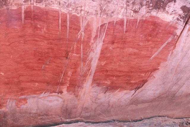 Vân gỗ nổi rõ dấu thời gian. Gỗ cẩm lai là loại gỗ quý, có tính thẩm mỹ và độ bền cao, thích hợp để tạo ra những món đồ nội thất gỗ sang trọng. Ảnh: Lao động.