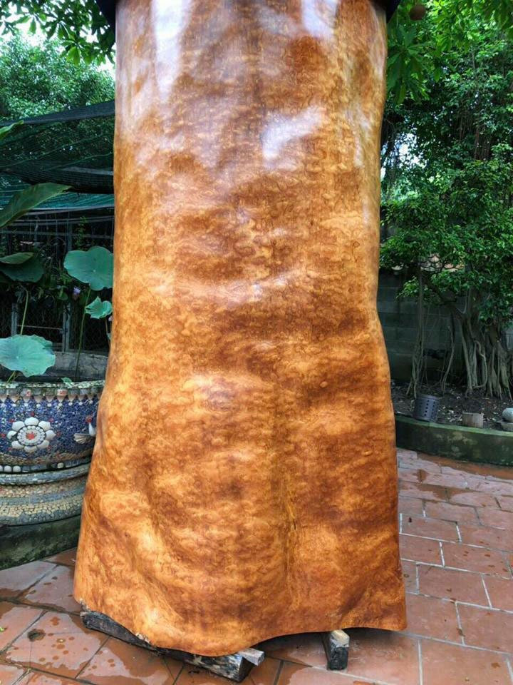 Theo chủ nhân, đây là gỗ nu chứ không phải gỗ thường. Nó là bướu gỗ, mắt gỗ được hình thành từ cây có tuổi thọ hàng ngàn năm. Ảnh: Vietnamnet