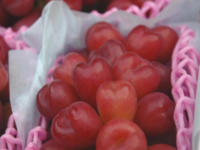 Với hình thù lạ mắt cùng với "mác" nhập khẩu, loại nho trái tim dù đắt đỏ vẫn được khá nhiều người yêu thích, đặc biệt là những người có thu nhập cao. Có thời điểm cửa hàng nhập về 40kg và bán hết ngay trong buổi sáng. Ảnh: Mia Fruits.