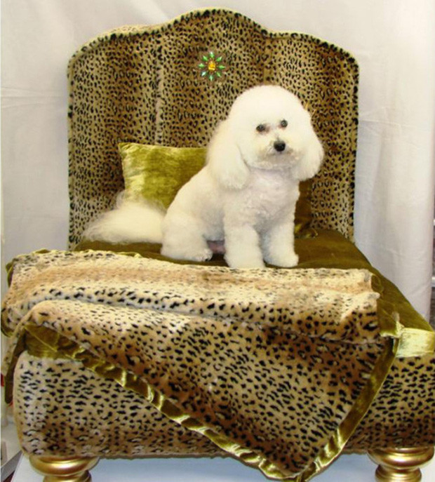 Những vị đại gia yêu động vật đến phát cuồng không ngại ngần chi ra 1,496 USD (tương đương 33,3 triệu đồng) để sắm cho thú cưng chiếc giường Chien Vivant xa hoa.