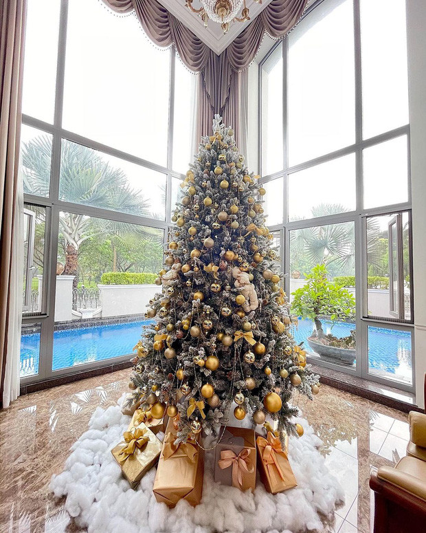 View cây thông nhìn ra bể bơi lớn trong khuôn viên biệt thự.