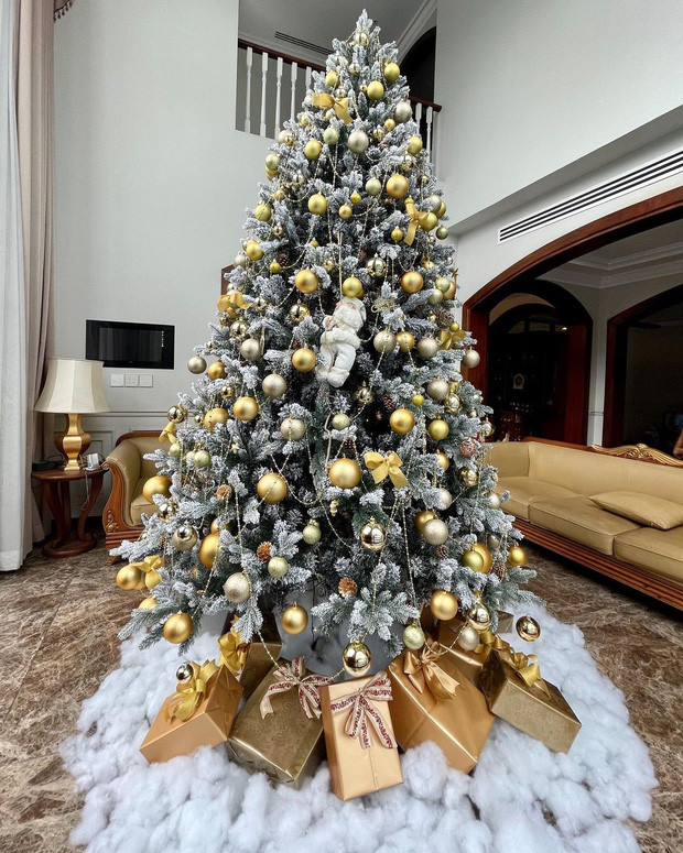 Bên trong căn nhà, ca sĩ Bảo Thy đặt một cây thông Noel cao 3m.