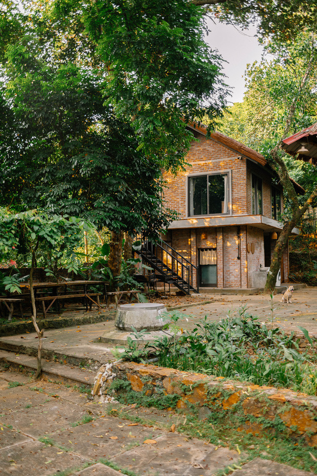 Căn nhà được anh chị trùng tu lại để gia đình về nghỉ ngơi dịp cuối tuần. Bao quanh nhà là hàng trăm loại cây xanh lâu năm và hoa trái bốn mùa, ríu rít tiếng chim kêu. Ảnh: Pháp luật &amp; bạn đọc.