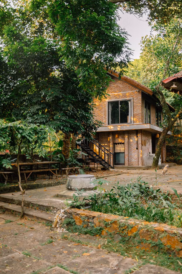 Căn nhà được anh chị trùng tu lại để gia đình về nghỉ ngơi dịp cuối tuần. Bao quanh nhà là hàng trăm loại cây xanh lâu năm và hoa trái bốn mùa, ríu rít tiếng chim kêu. Ảnh: Pháp luật &amp; bạn đọc.