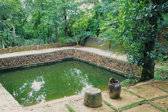 Ao cá trong vườn nhà ngập cây xanh. Ảnh: Dân Việt