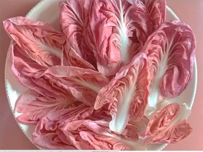 Là loại cây mới xuất hiện nhưng rau diếp hồng nhanh chóng gây sốt bởi màu sắc khác lạ. Trong khi rau diếp xanh thông thường có giá bán dưới 1 USD (khoảng 23.000 đồng) mỗi kg thì giá của rau diếp hồng lên tới hơn 20 USD/kg (tương đương khoảng 500.000 đồng).