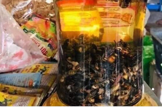 Cho rằng rượu ong đất tốt cho sức khỏe, nhiều người không ngại bỏ ra cả triệu đồng để mua. Ảnh: Lazada.