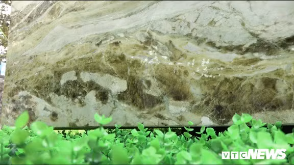 Ngoài kích thước lớn, điểm độc đáo của chiếc sập đá ngọc là những hoa văn đẹp, nổi 3D mềm mại và nước ngọc trong xanh, vân sắc đều và không tì vết, không có tạp chất. Ảnh: VTCNews.