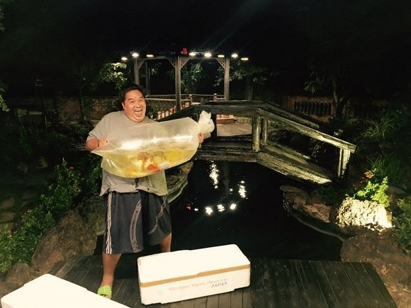 Những ngày không quay phim, nam diễn viên lại dành thời gian chăm sóc hồ cá và nhập thêm hàng loạt cá mới. Ảnh: Lao động.