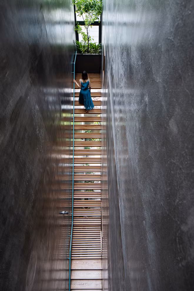 Điểm độc đáo là cầu thang có cấu trúc như những thanh gỗ được thiết kế dọc theo chiều dài của ngôi nhà.