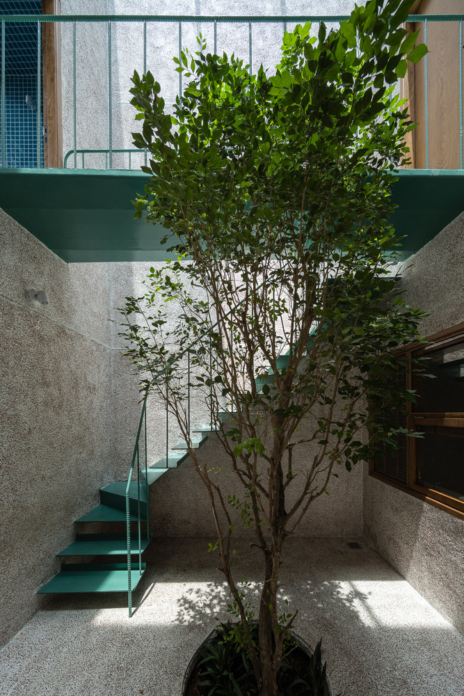 Nhóm thiết kế muốn tạo ra một căn nhà bao quanh bởi những khu vườn nhiệt đới.