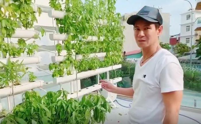 Vườn rau xanh được vợ chồng Lý Hải - Minh Hà thiết kế dạng thủy canh và thổ canh. Phần sân thượng được anh thiết kế hệ thống thủy canh dạng đứng kèm mái che để giảm bớt ánh nắng và mưa trực tiếp.