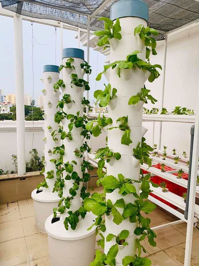 MC Đại Nghĩa dành nhiều thời gian để thiết kế và trồng một khu vườn rau thủy canh trên tầng thượng của biệt thự.