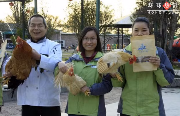 Năm 2018, công ty môi trường Jiangmen Promenade tại Quảng Đông, Trung Quốc đã thưởng Tết cho nhân viên bằng 1 con gà. Ảnh: Baidu.