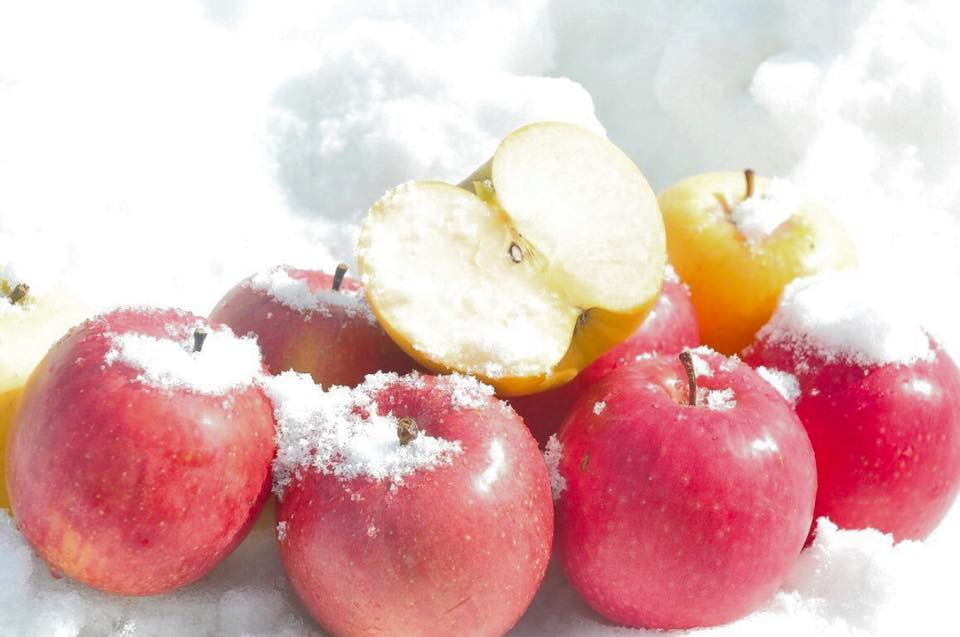 Táo đỏ đặc biệt này được trồng tại chân núi Fuji, nơi mà đỉnh núi quanh năm phủ tuyết trắng. Ảnh: Mia Fruits.