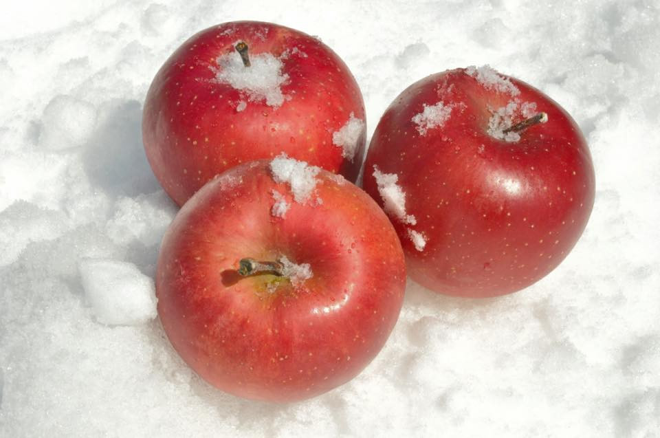 Theo người bán, táo tuyết đỏ - loại táo dinh dưỡng của núi Phú Sỹ có giá 900.000 đồng/kg (mỗi trái khoảng 300 - 400g). Ảnh: Mia Fruits.