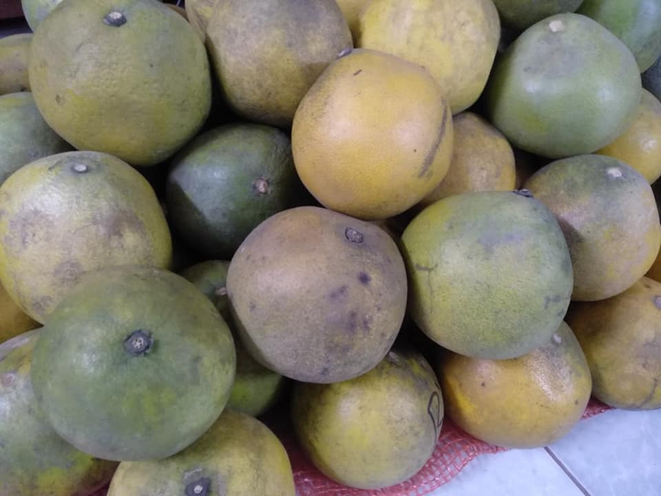 Cô Hoàn (Hà Nội) cho biết cách đây ít ngày có mua chung bưởi Diễn loại 10.000 đồng/quả với mấy người bạn. Loại bưởi này trọng lượng khoảng 7-8 lạng. Ảnh: Facebook.