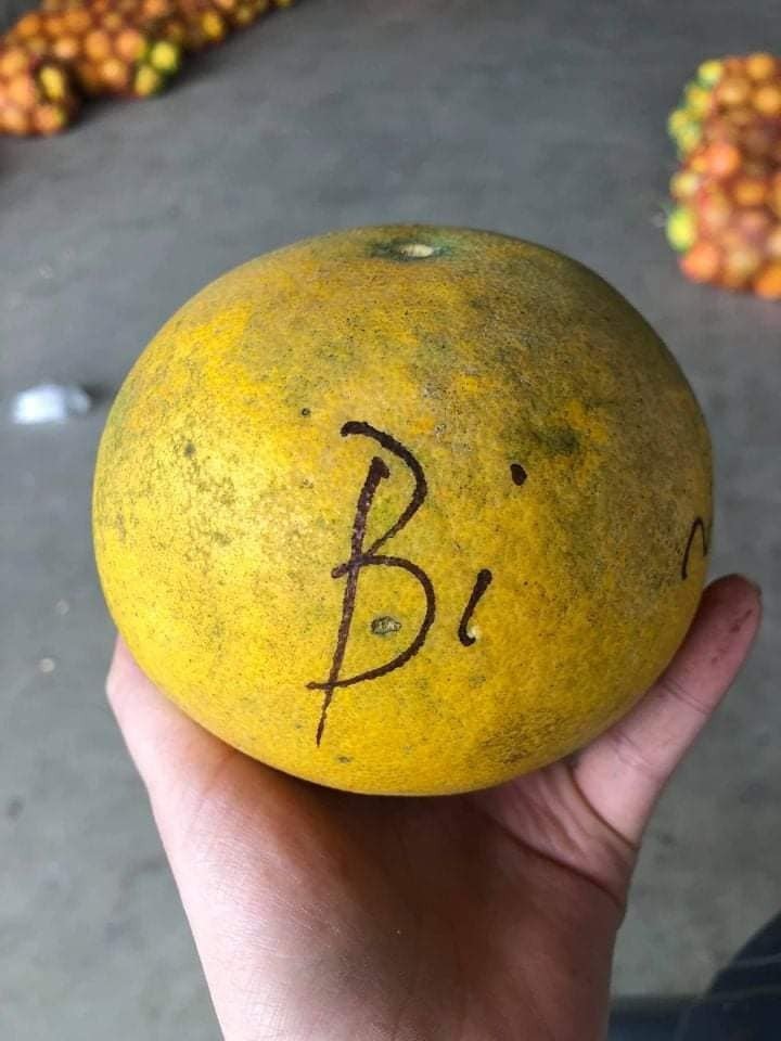 Được biết, bưởi Diễn giá 2.000 đồng/quả là loại size từ 0,3-0,4kg/quả. Bưởi loại 0,6-0,7kg/quả có giá 4.000 đồng; loại từ 0,7-1,3kg/quả chỉ 7.000 đồng…Ảnh: Facebook.