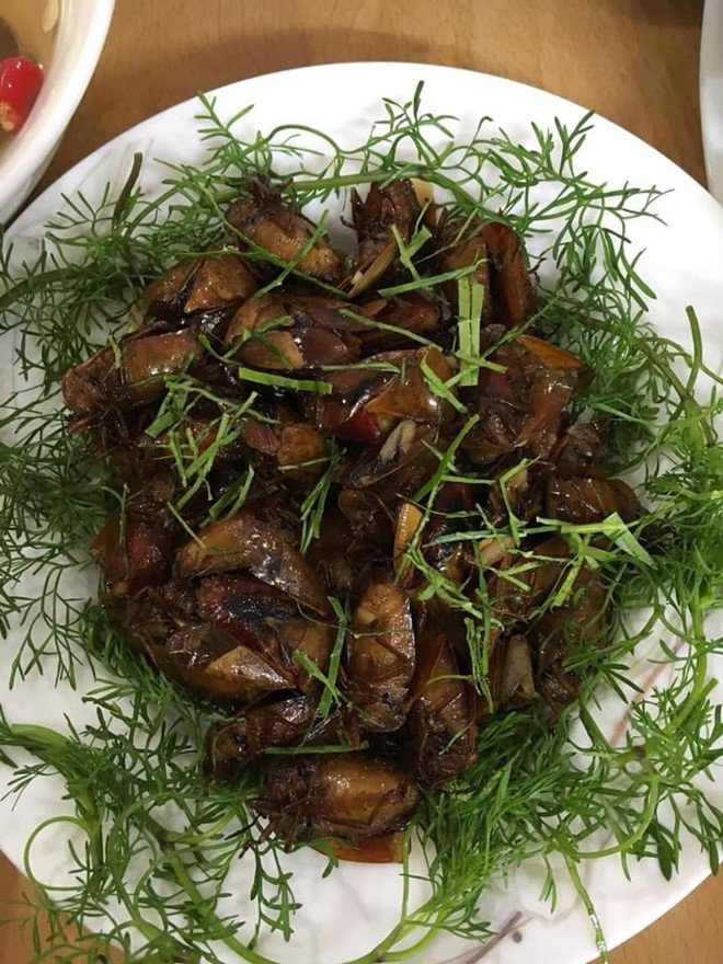 “Dai gia 10.000 m2 dat” Giang Coi khoe 2 mon dac san-Hinh-3