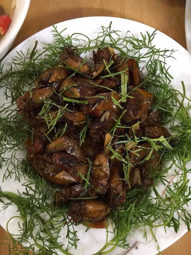 “Dai gia 10.000 m2 dat” Giang Coi khoe 2 mon dac san-Hinh-3