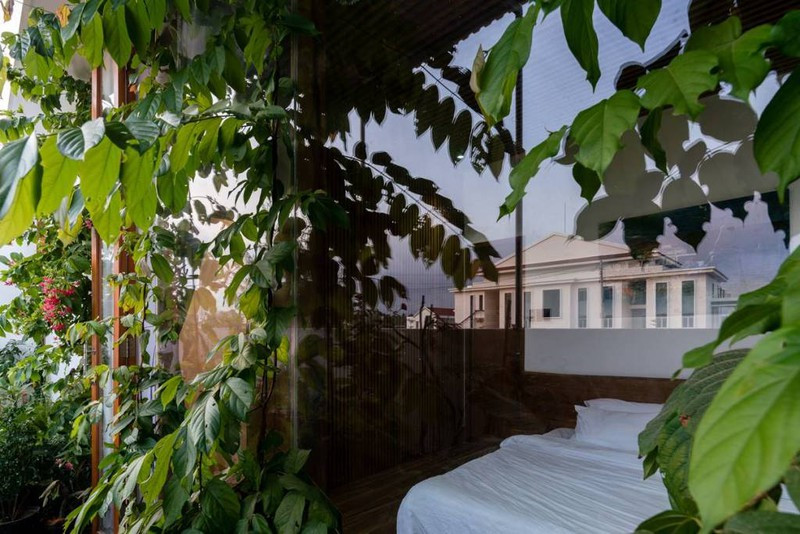 Phòng ngủ như ở giữa vườn cây xanh nhờ bức tường kính trong suốt.