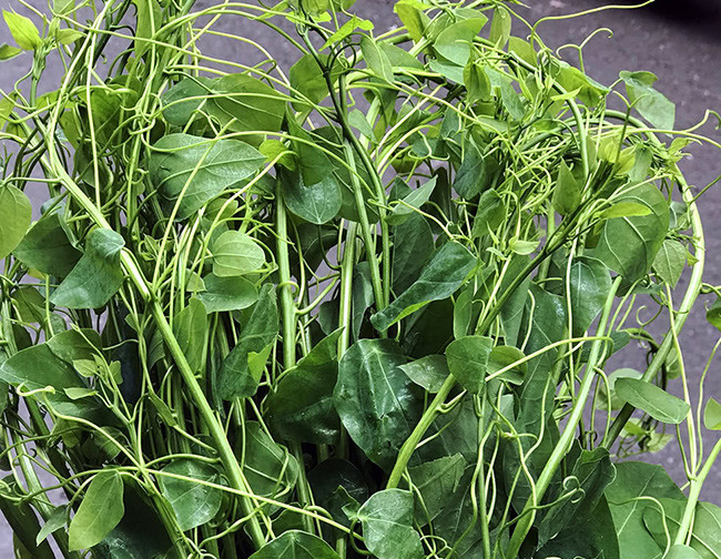 Là loại rau xuất hiện nhiều ở một số tỉnh vùng núi phía Bắc, rau bò khai được bán ở vỉa hè Hà Nội với giá 50.000 đồng/kg. Nguồn ảnh: Facebook.