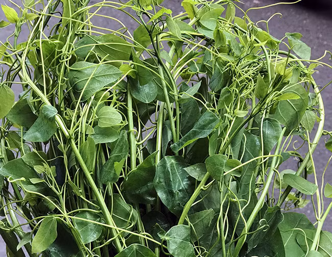 Là loại rau xuất hiện nhiều ở một số tỉnh vùng núi phía Bắc, rau bò khai được bán ở vỉa hè Hà Nội với giá 50.000 đồng/kg. Nguồn ảnh: Facebook.