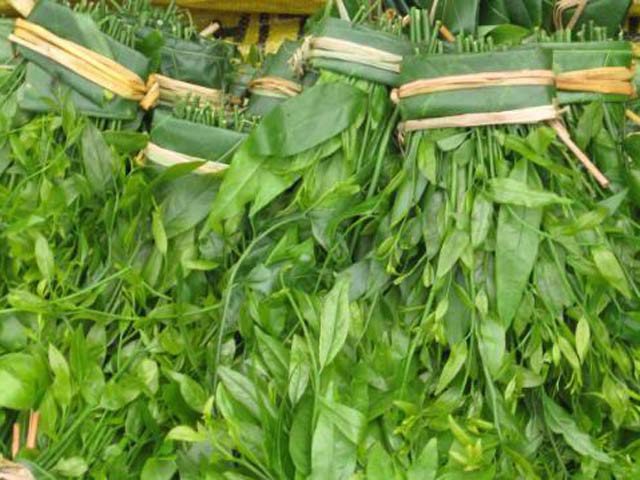 Rau sắng mọc trong rừng sâu cũng có giá khá cao trên thị trường từ 120.000 đồng – 200.000 đồng/kg tuỳ thời điểm. Đặc biệt, rau sắng chùa Hương nổi tiếng có khi còn lên tới hàng triệu đồng một ký.