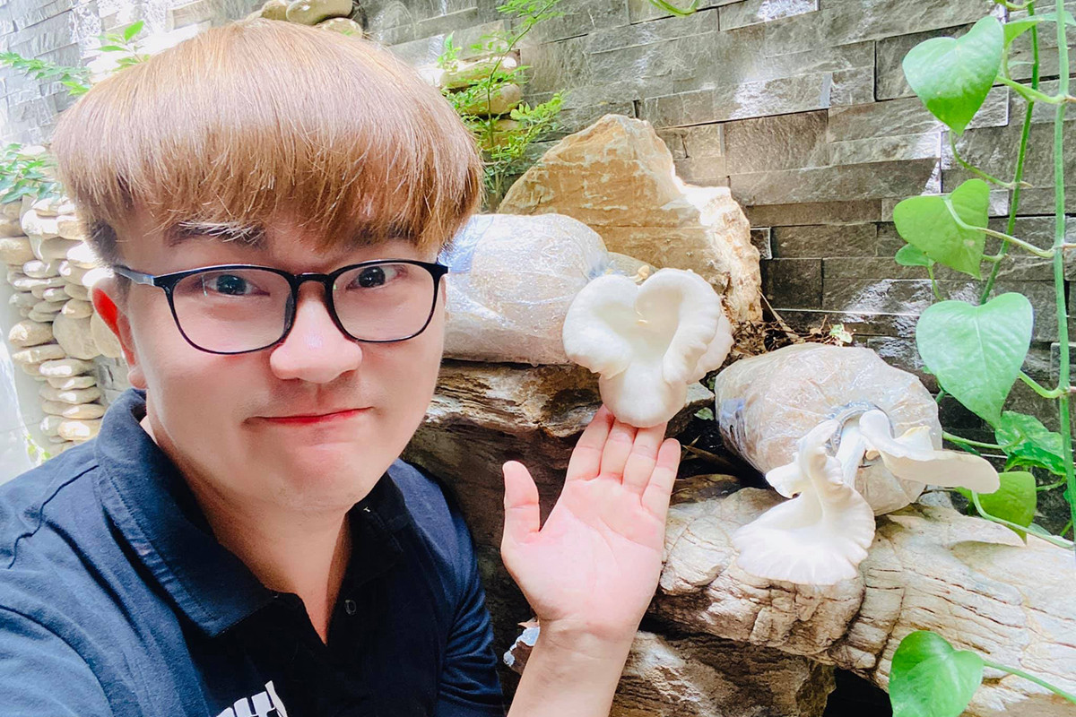 Nam diễn viên tự mua phôi để trồng các loại nấm. Cứ vài ngày, Đại Nghĩa lại thu hoạch một lần, vừa để ăn vừa tặng cho đồng nghiệp, người quen. Ảnh: Vnexpress.