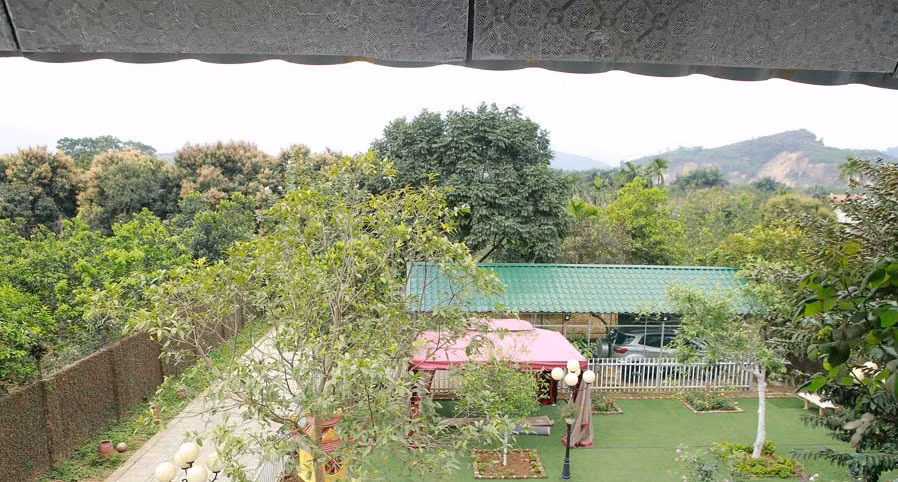 Đứng ở trên có thể nhìn thấy toàn bộ khuôn viên sân vườn. Ảnh: Vietnamnet.