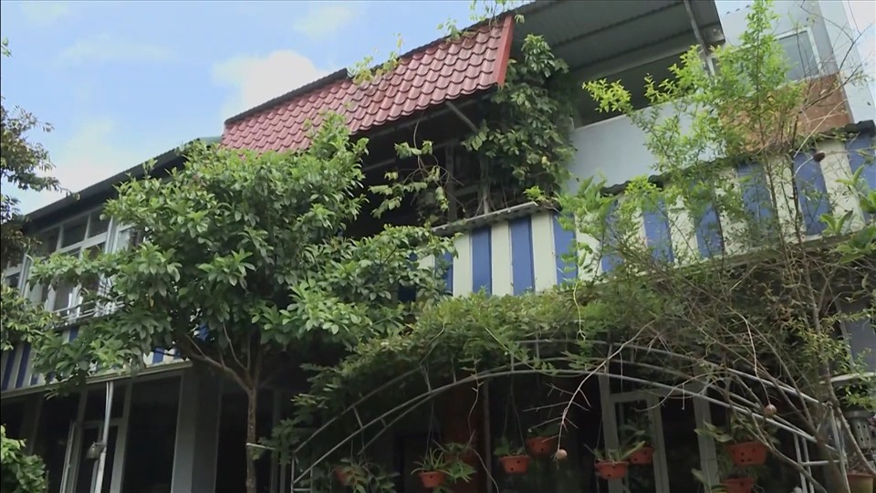 Căn nhà của NSND Thanh Hoa được bao phủ bởi nhiều cây xanh. Ảnh: Lao động.