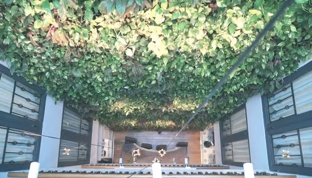 Bên trong căn nhà cũng được phủ một mảng xanh mát. Ảnh: Lao động.