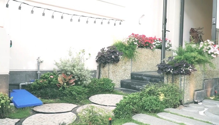 Lối vào cửa chính trồng nhiều cây xanh tạo cảm giác như đang dắt vào một khu rừng. Ảnh: Vietnamnet.