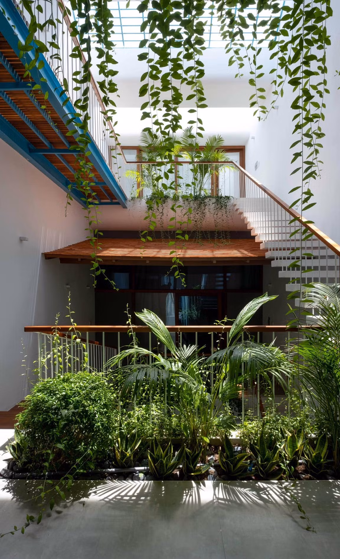 Cây trồng đều được lựa chọn loại phù hợp với khí hậu địa phương và có khả năng lọc không khí.