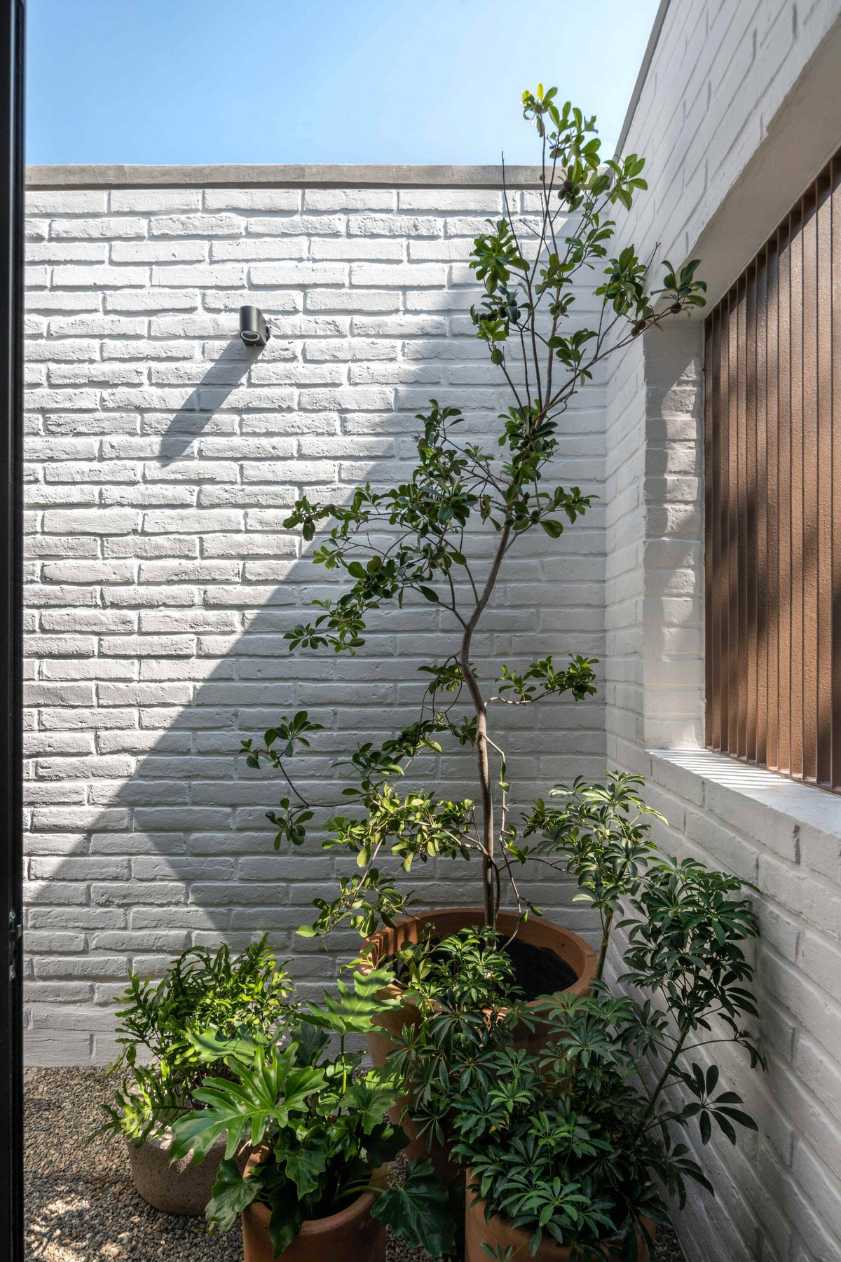 Có gì trong ngôi nhà “nuôi cây” để thanh lọc khói bụi? - Hình 6 Co gi trong ngoi nha “nuoi cay” de thanh loc khoi bui?-Hinh-6