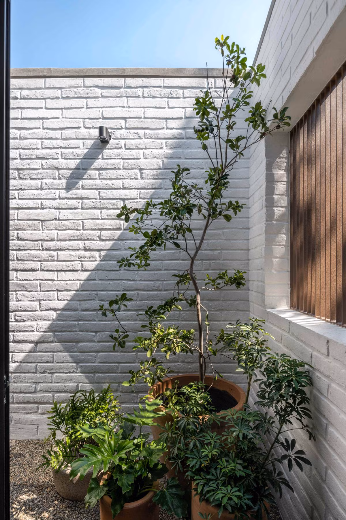 Co gi trong ngoi nha “nuoi cay” de thanh loc khoi bui?-Hinh-6