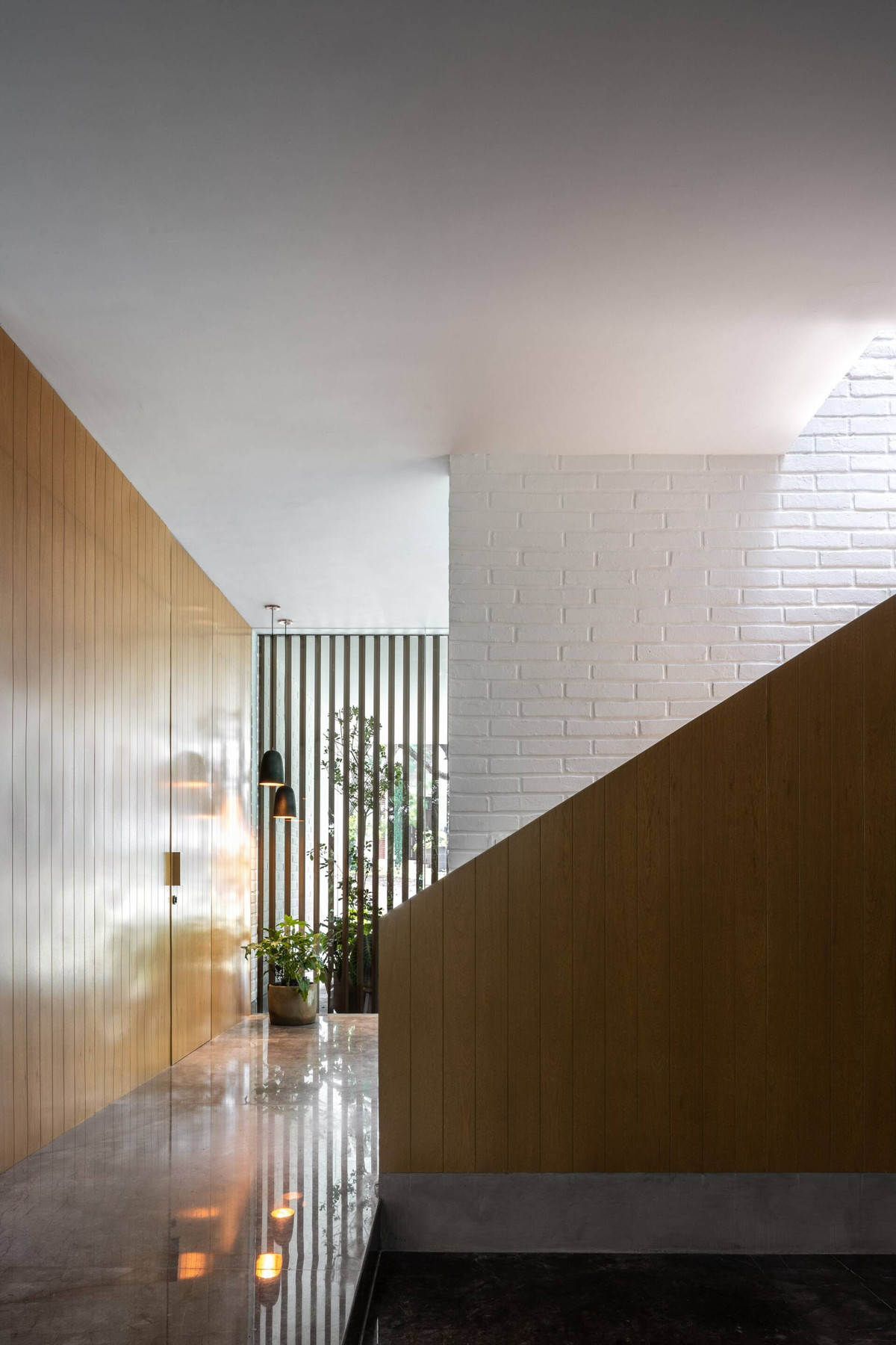 Có gì trong ngôi nhà “nuôi cây” để thanh lọc khói bụi? - Hình 10 Co gi trong ngoi nha “nuoi cay” de thanh loc khoi bui?-Hinh-10