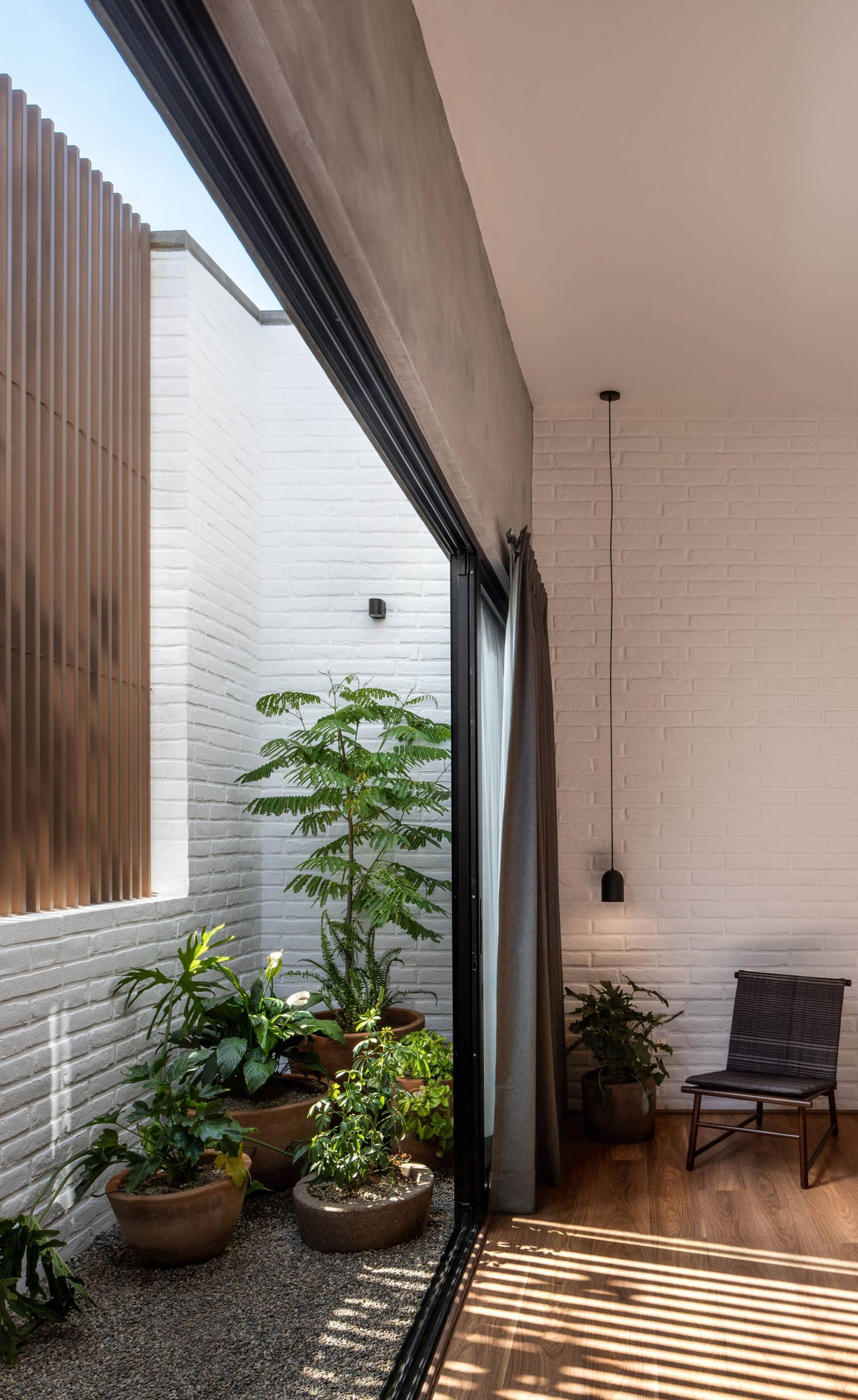 Có gì trong ngôi nhà “nuôi cây” để thanh lọc khói bụi? - Hình 8 Co gi trong ngoi nha “nuoi cay” de thanh loc khoi bui?-Hinh-8