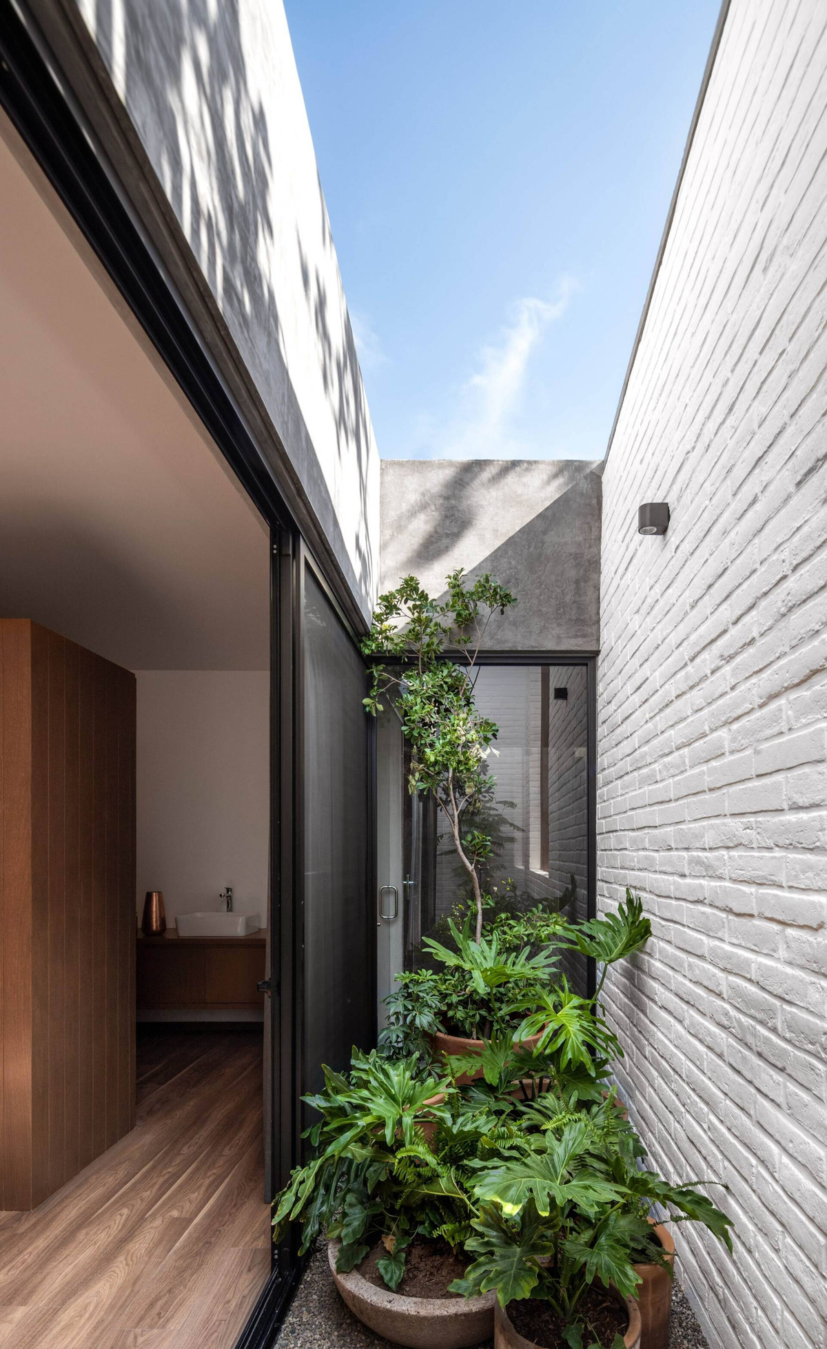 Có gì trong ngôi nhà “nuôi cây” để thanh lọc khói bụi? - Hình 5 Co gi trong ngoi nha “nuoi cay” de thanh loc khoi bui?-Hinh-5