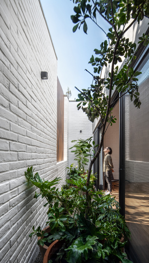 Có gì trong ngôi nhà “nuôi cây” để thanh lọc khói bụi? - Hình 2 Co gi trong ngoi nha “nuoi cay” de thanh loc khoi bui?-Hinh-2