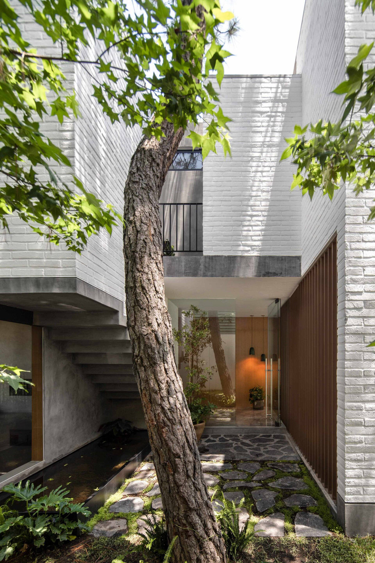 Có gì trong ngôi nhà “nuôi cây” để thanh lọc khói bụi? - Hình 4 Co gi trong ngoi nha “nuoi cay” de thanh loc khoi bui?-Hinh-4