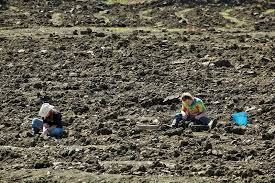 Hơn 33.100 viên kim cương đã được tìm thấy trong công viên này kể từ năm 1970.