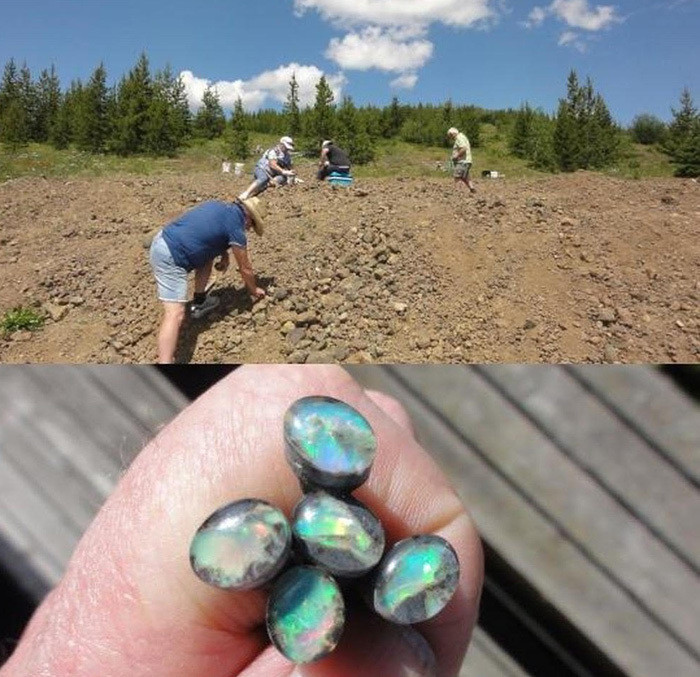 Thứ duy nhất phải trả là vé vào cửa, giá là 5 USD đối với trẻ em (từ 6 đến 12 tuổi) và 8 USD đối với người lớn.