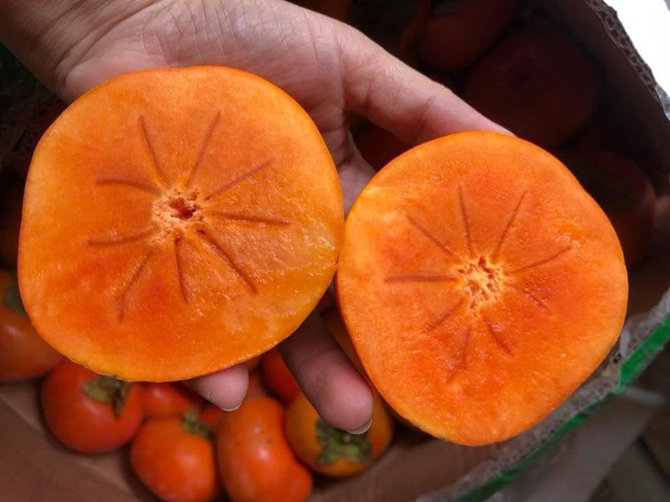 Loại hồng này được trồng tại vùng Vân Sơn, Trung Quốc. Ảnh: Facebook.