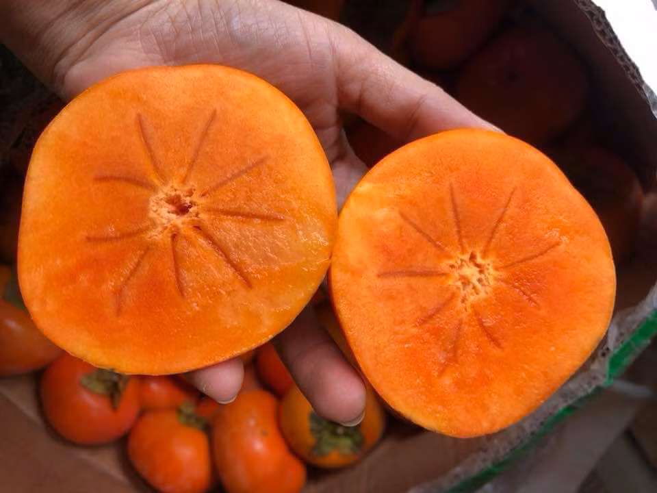 Loại hồng này được trồng tại vùng Vân Sơn, Trung Quốc. Ảnh: Facebook.