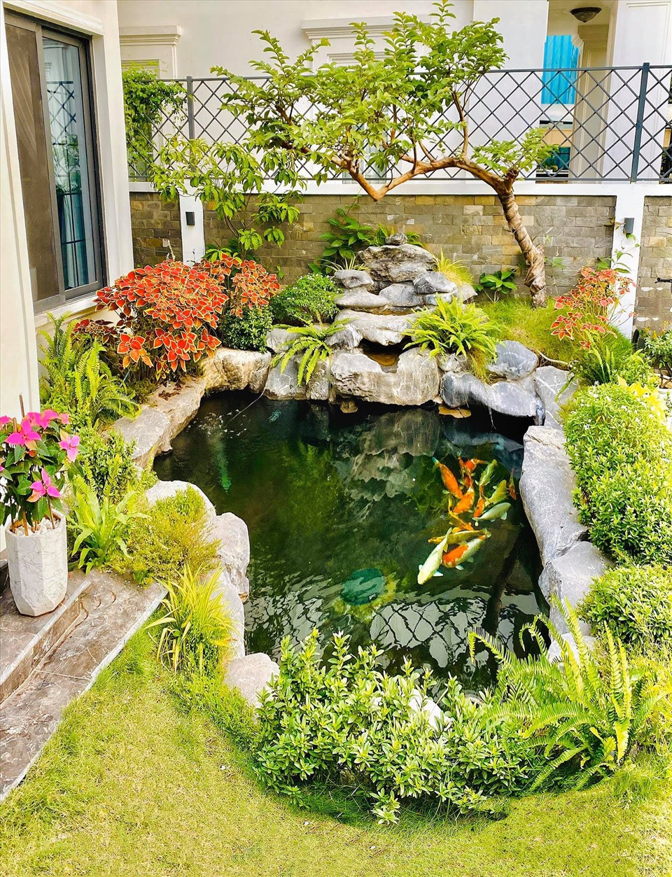 Từng con cá được hai vợ chồng Lã Thanh Huyền thân lựa chọn kĩ càng về màu sắc, kích thước...Nguồn ảnh: FBNV