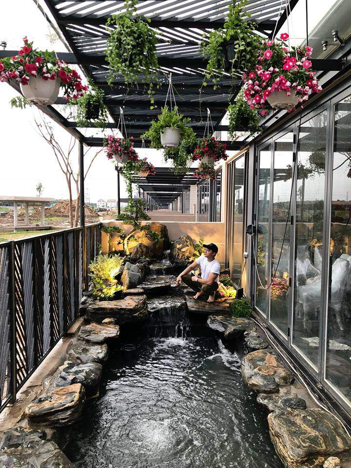 Chi phí đầu tư cho hồ cá Koi này lên tới 1 tỷ đồng.