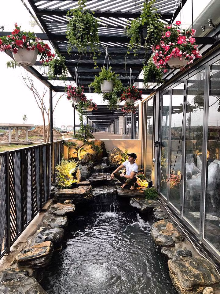 Chi phí đầu tư cho hồ cá Koi này lên tới 1 tỷ đồng.