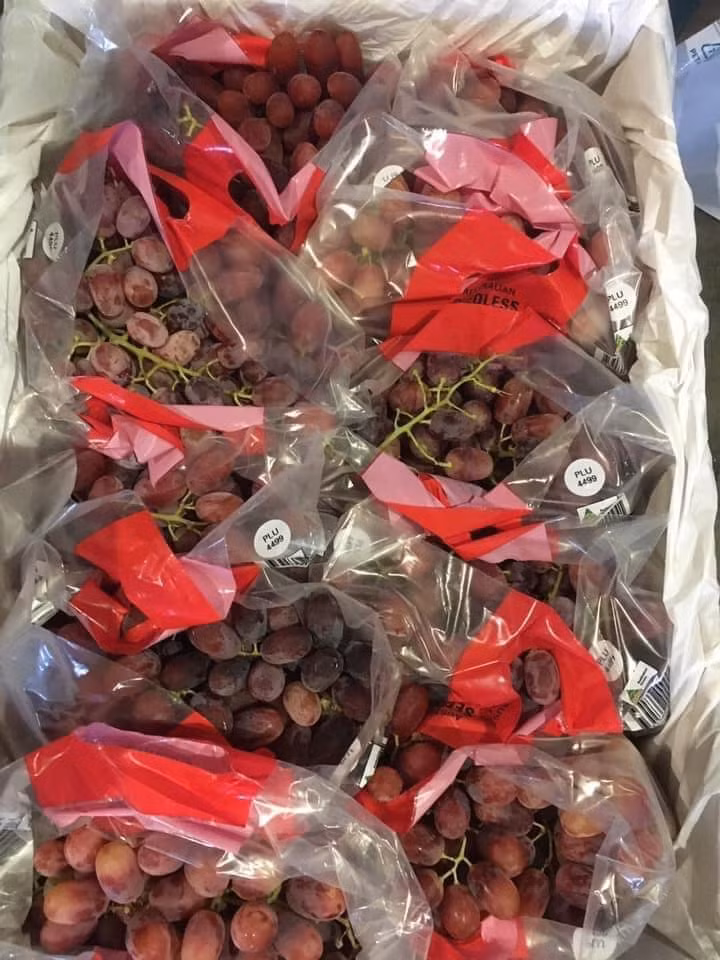 Theo chị Duyên, đây là nho rừng nội địa Trung, quả nhỏ nhưng ăn giòn, ngọt lịm, không có hạt nên ai cũng chuộng mua. Có ngày, chị Duyên về cả trăm thùng nho cũng hết sạch.